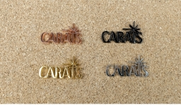 Cutout Pins image 6