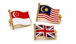 Flag Pin image 1