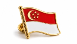 Flag Pin image 2