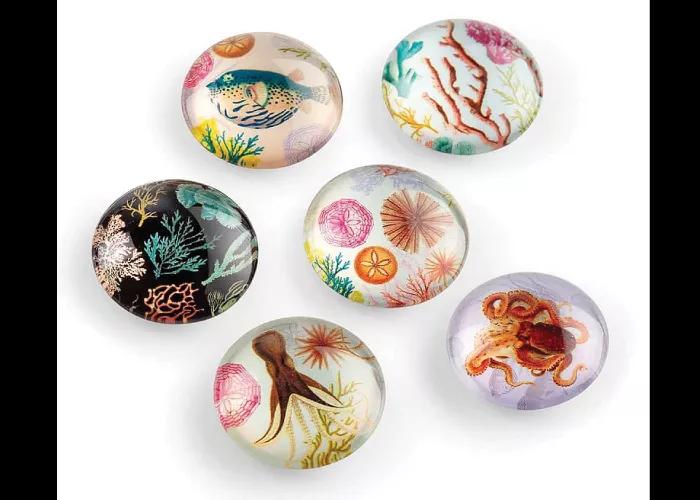 Epoxy Fridge Magnet